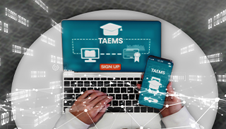 Unlocking Training Efficiency